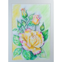 Biondo Candy – Acquerello 50x70 cm Rosa Gialla di Bibi Guarnieri