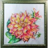 Dahlia Pinnata – Watercolor 70x70 cm by Bibi Guarnieri