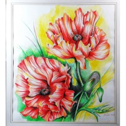 Papavero Orientale – Acquerello Floreale 70x80 cm | Bibi Guarnieri