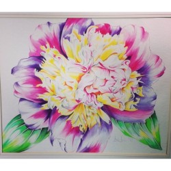 Peonia Selvatica – Acquerello 55x50 cm di Bibi Guarnieri | Dipinto Floreale