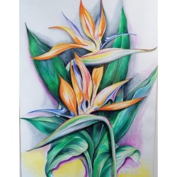 Uccelli del Paradiso – Acquerello Floreale 50x70 | Opera di Bibi Guarnieri